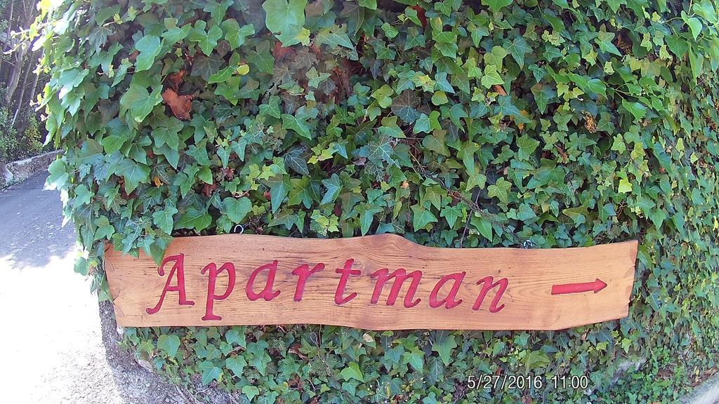 Apartment Opatija ロヴラン エクステリア 写真